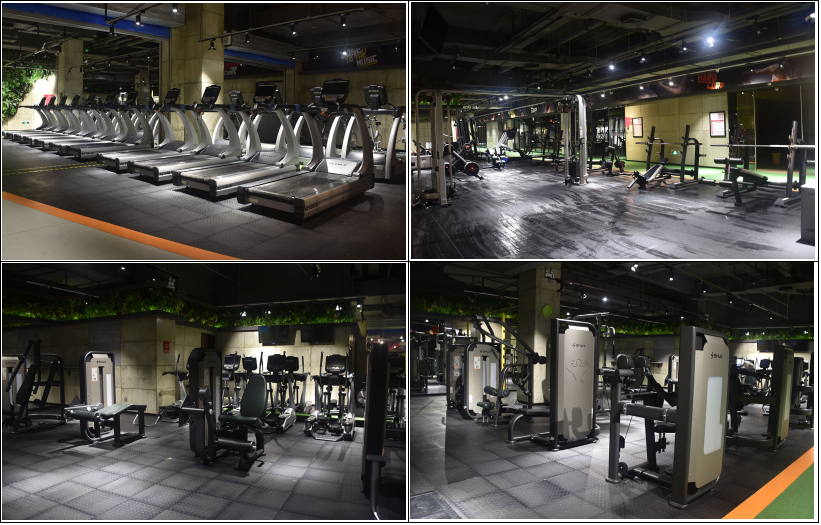 室内健身器材-广西KY.COM-开云(中国)体育健身器材有限公司